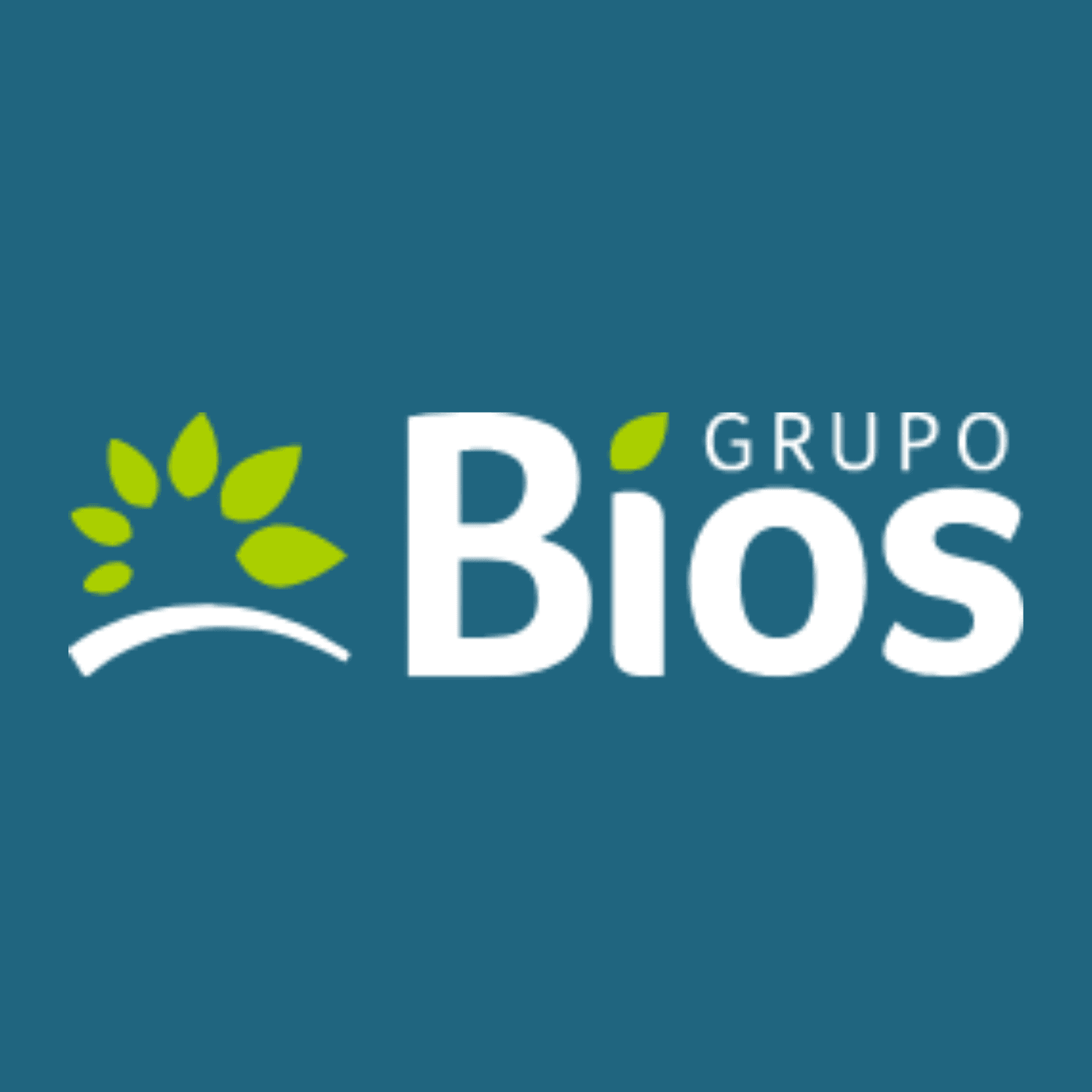 GRUPO BIOS S.A.S.