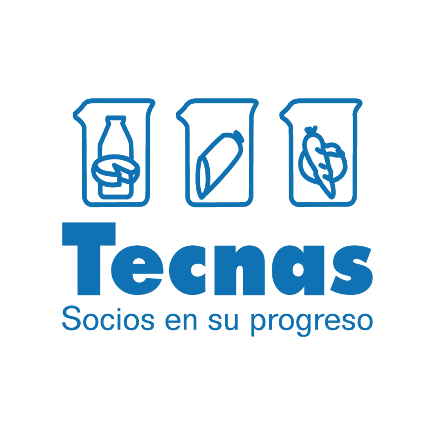 Tecnas S.A. BIC