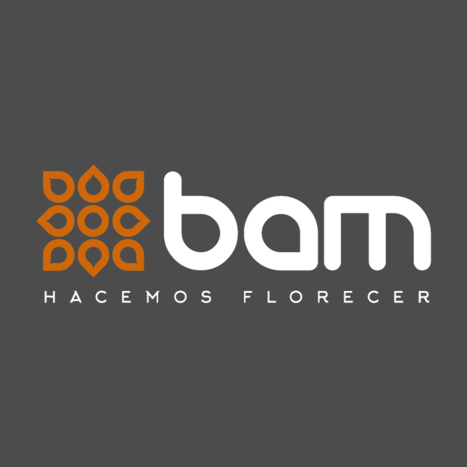 BAM S.A.S.